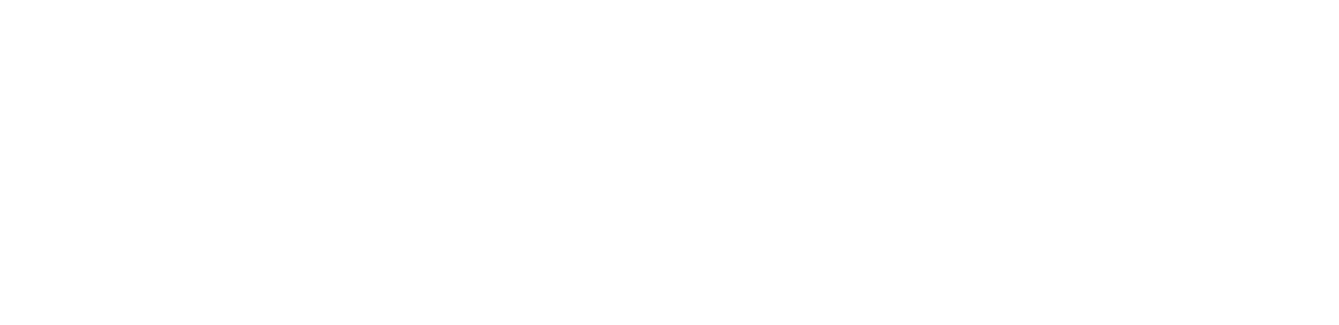 Vincitu